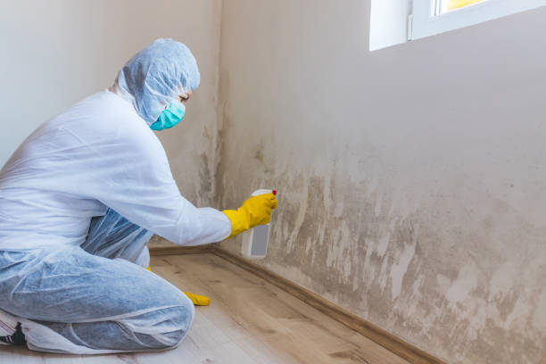 Bathroom Mold Removal assessment in Bala Cynwyd bathroom