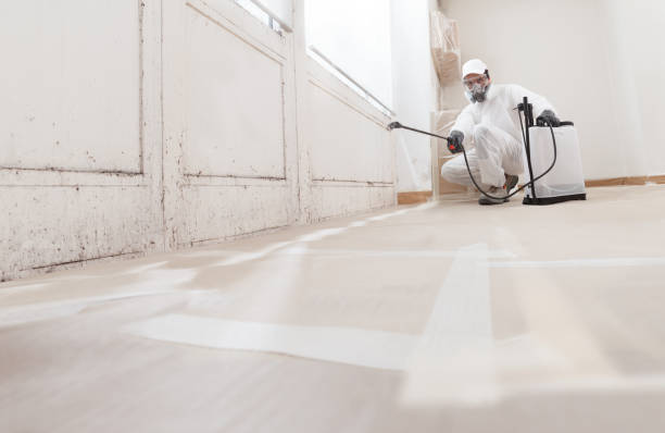 Black mold remediation team in Bala Cynwyd